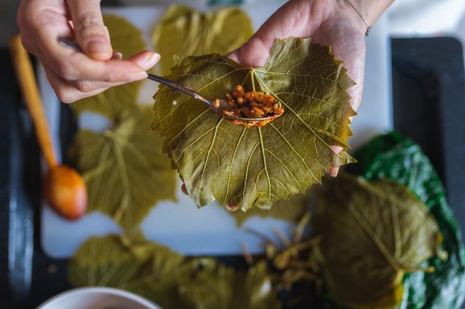 Pri nas manj znan recept pa je tisti, pri katerem namesto kislih zeljnih listov uporabimo trtne. (Foto: Kemal Yildirim/Getty Images)
