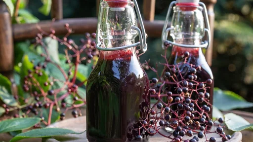 Two bottles of black elder syrup with fresh berries