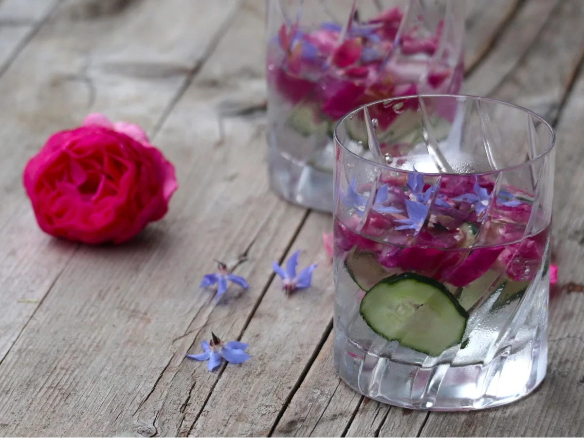 Gin z borecem