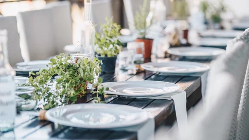 Table decoration for a special occasion - white plates and green plants. Eco/nature friendly decoration