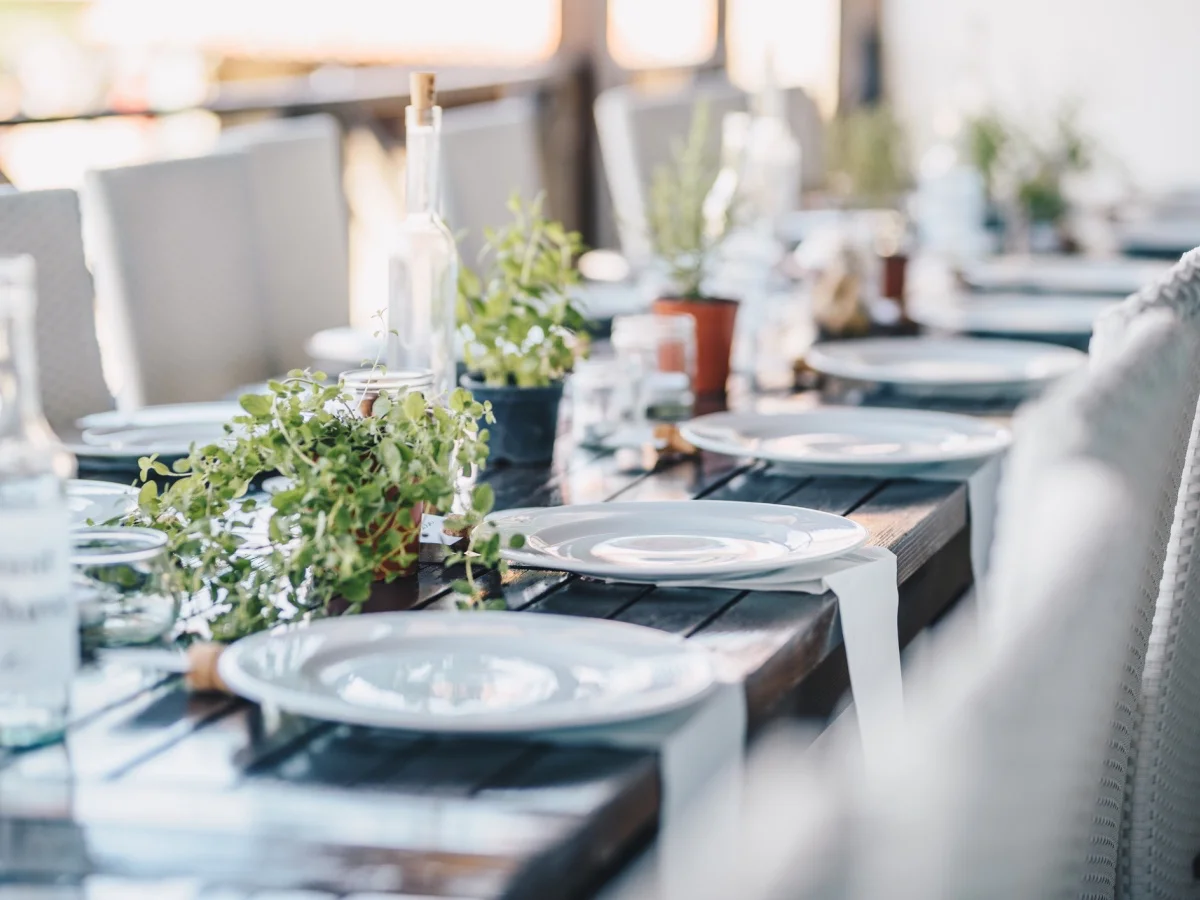 Table decoration for a special occasion - white plates and green plants. Eco/nature friendly decoration