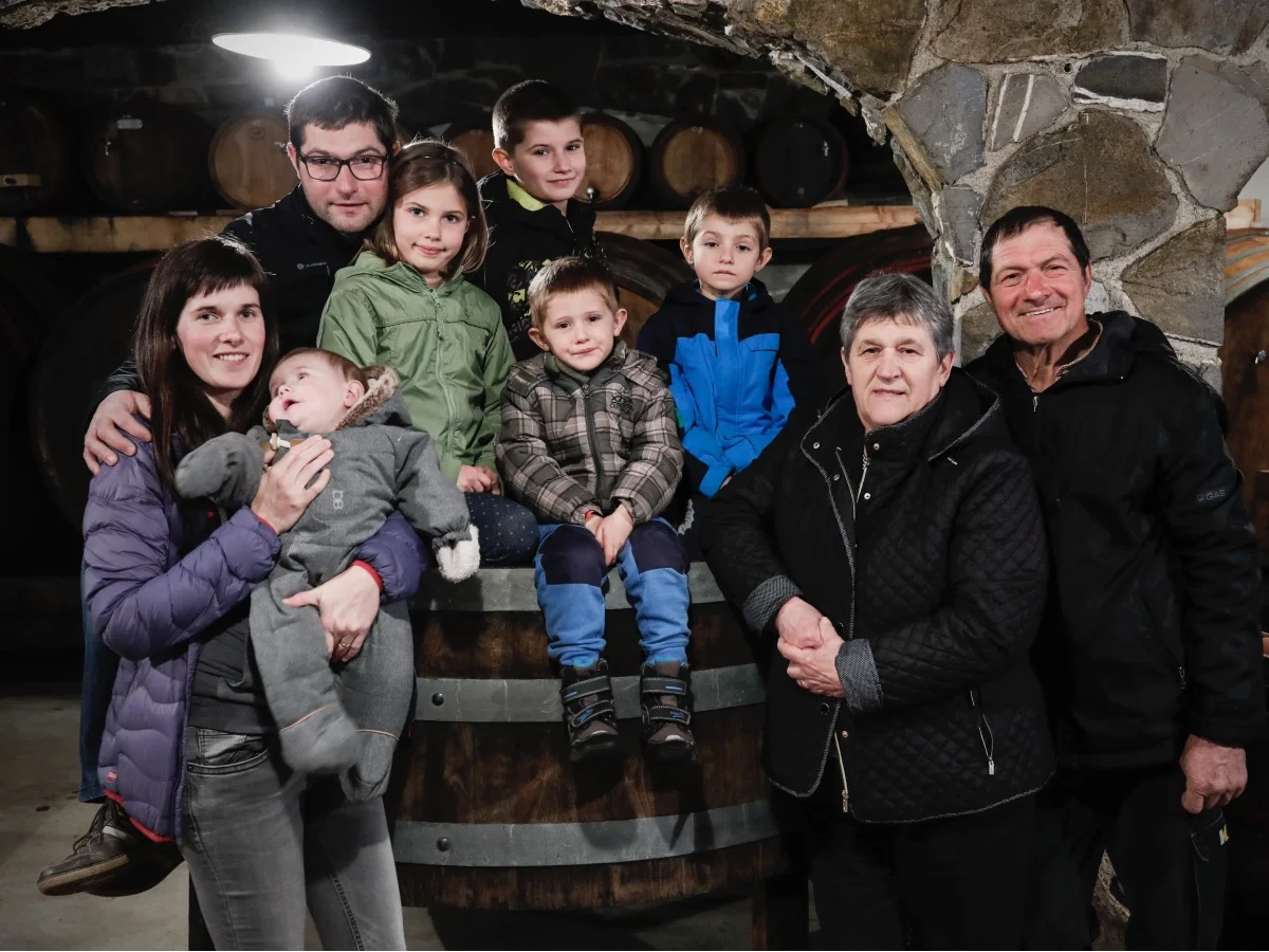Robert in Rafael Baša z družino v kleti Rikotove kmetije, kjer pridelujejo vino Zelen, ki je bil izbran za Lidlovo lojtrco domačih, v Zaloščah, Slovenija, 6. merca 2020.[Baša Robert,Baša Rafael,Rikotova kmetija,kmetije,vino,vinarji,Zelen,Lidl]