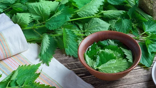 A bunch of nettle on a wooden table for cooking