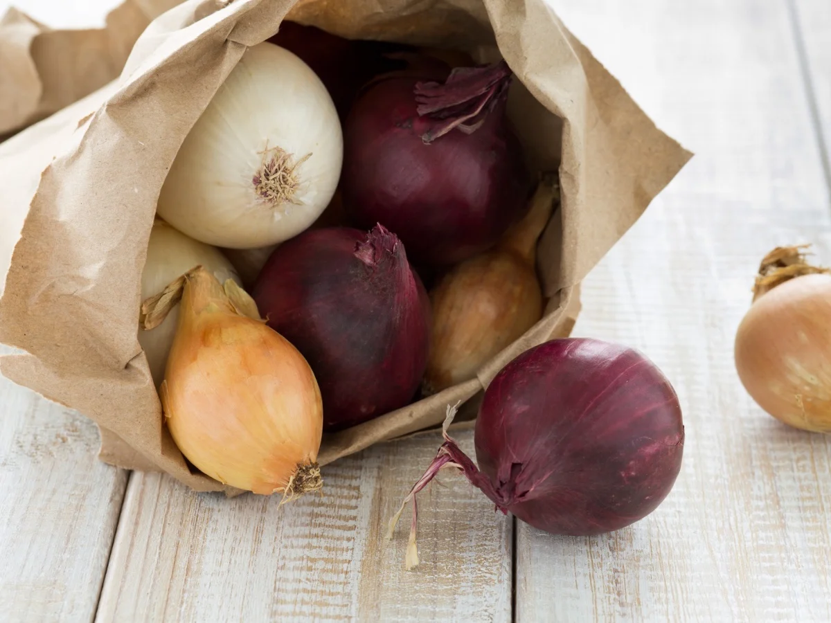 Red, white and yellow onions in a paper bag