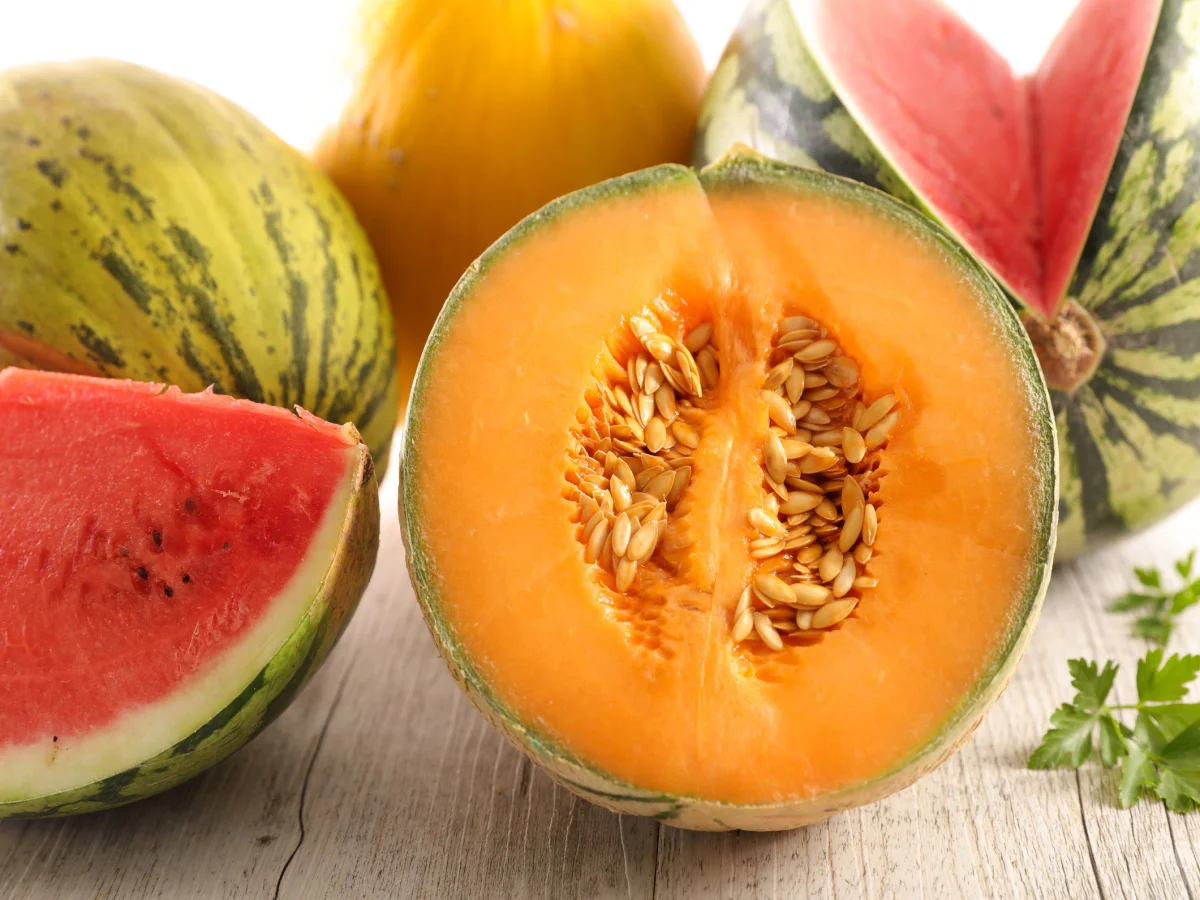 fresh melon and watermelon