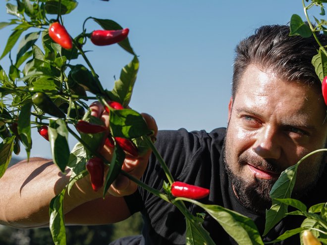 Matic Vizjak, čili mojster, utemeljitelj znamke Čili frik, inovativni mladi kmet leta 2017 in organizator čili festivala v Šmarju pri Jelšah, v Šmarju pri Jelšah, Slovenija, 8. septembra 2020.[Vizjak Matic,čili frik,čili,omake,znamke,kmetje,kmetije,Kmetija Vizjak,hrana,prehrana,Lidlova lojtrca domačih]