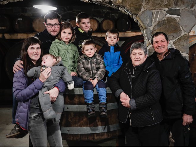 Robert in Rafael Baša z družino v kleti Rikotove kmetije, kjer pridelujejo vino Zelen, ki je bil izbran za Lidlovo lojtrco domačih, v Zaloščah, Slovenija, 6. merca 2020.[Baša Robert,Baša Rafael,Rikotova kmetija,kmetije,vino,vinarji,Zelen,Lidl]