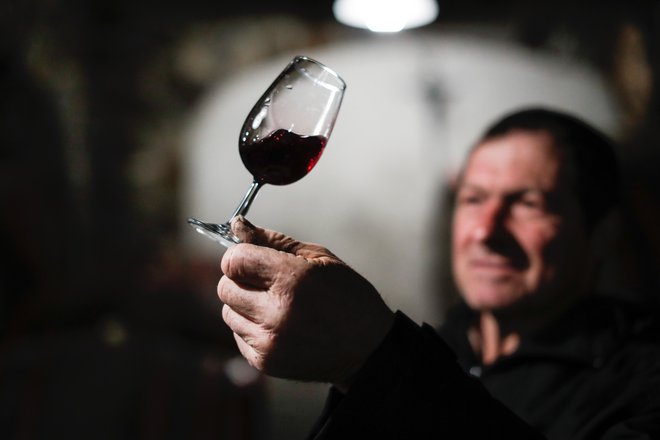 Rafael Baša, oče Roberta Baše, vinarja na Rikotovi kmetiji, kjer pridelujejo vino Zelen, ki je bil izbran za Lidlovo lojtrco domačih, v Zaloščah, Slovenija, 6. merca 2020.[Baša Rafael,Baša Robert,Rikotova kmetija,kmetije,vino,vinarji,Zelen,Lidl]
