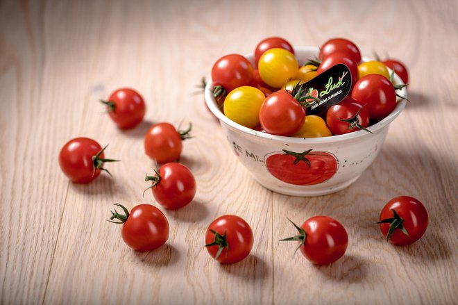 Izberite slovenski paradižnik LUŠT, ki zraste v ugodnih pogojih in je že v nekaj dneh lahko na vaši mizi. FOTO: LUŠT