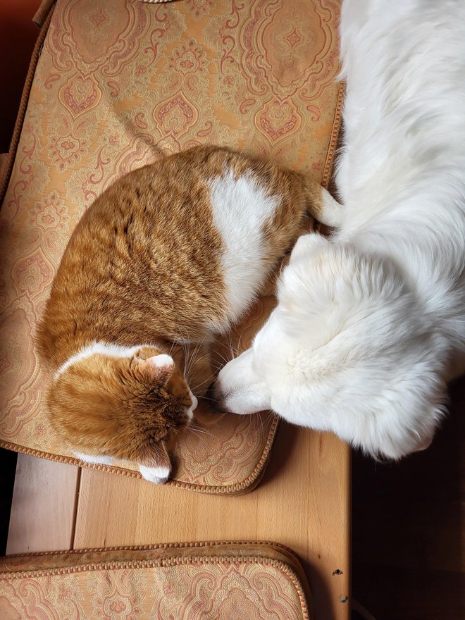 Kot vidite, doma veliko damo na barvno usklajenost vsega okrog nas. ☺ (Foto: Karina Cunder Reščič)