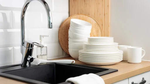Odtočne mušice privablja vlaga, običajno pa v vašo kuhinjo vstopijo preko odtočnih cevi. Foto: Alena Matrosova/Shutterstock