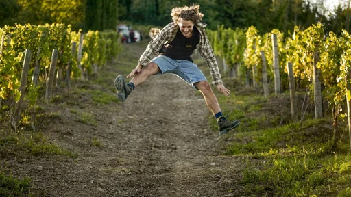 Alojz Felix Jermann (Foto: montorsi)